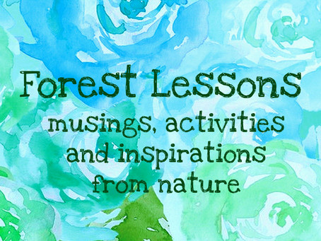Welcome to our Forest Lessons blog