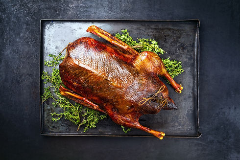 AdobeStock_318178769.jpeg