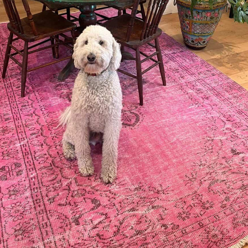 Rug #29