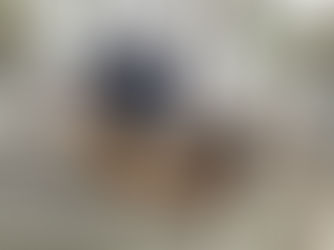 Baltimore Storm Damage Restoration & Mitigation Guide | Serve Xpert