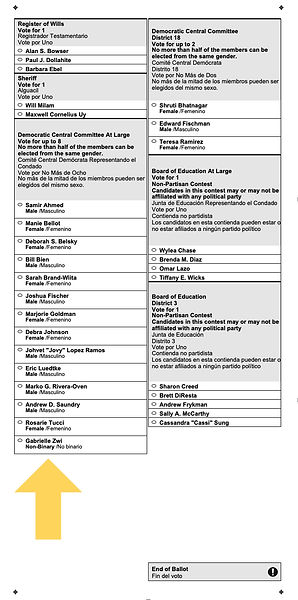 The back of District 18 sample ballot, featuring an arrow which points to Gabrielle Zwi in the Democratic Central Committee At Large section
