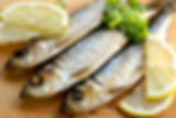 AdobeStock_1126568.jpeg