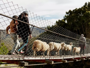 7 Of The World’s Most Innovative Bridges
