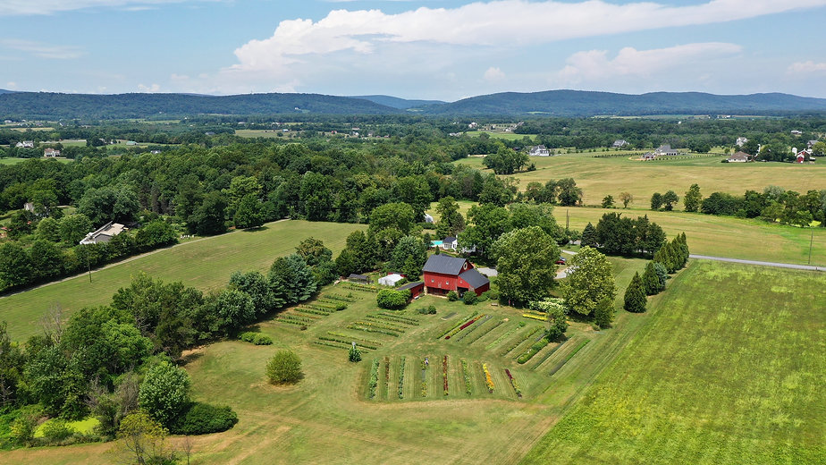 drone_image4.jpeg