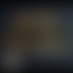 New Online Champions in August!