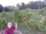 Mike With the Grapes