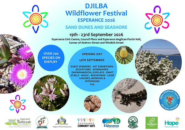 DWF Event Poster.png