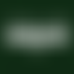 S O U L J O B : Job on Thesis