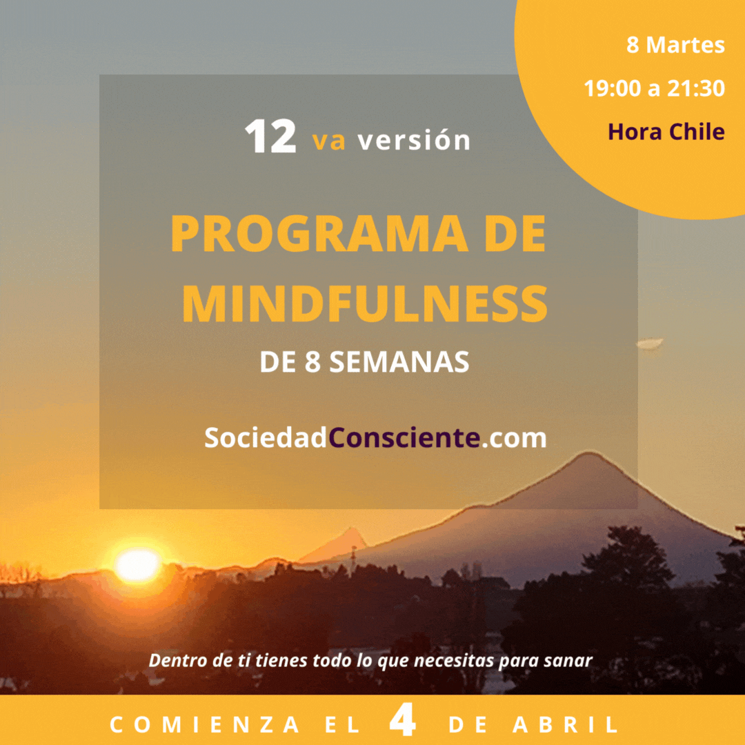 programa 12 flyer .gif