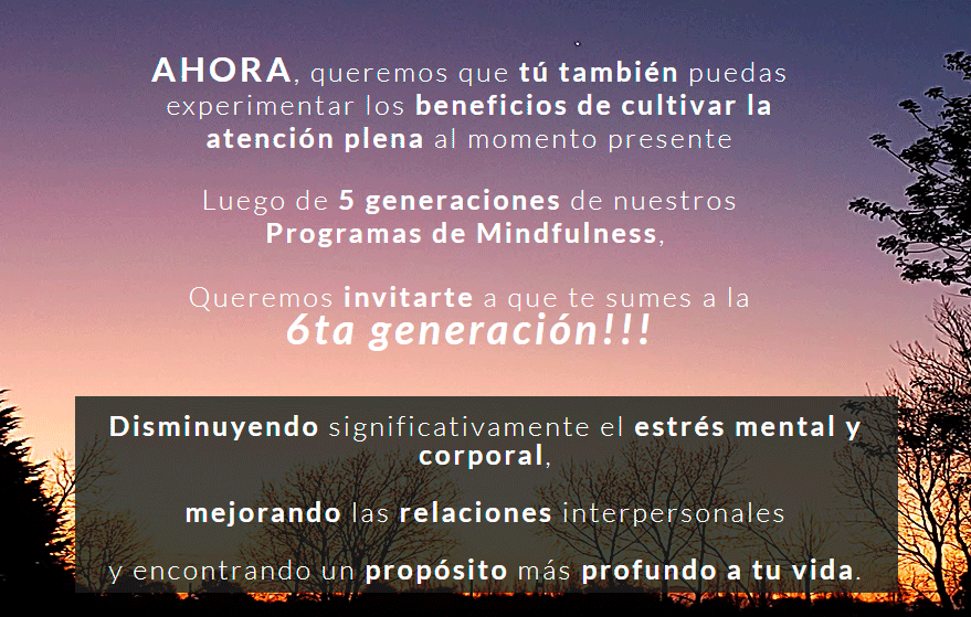 pantallaso-2.gif