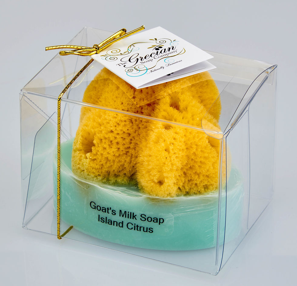 Thumbnail: Goats Milk and Olive Oil Soaps w/embedded Natural Sea Sponge - Set of 4 per frag