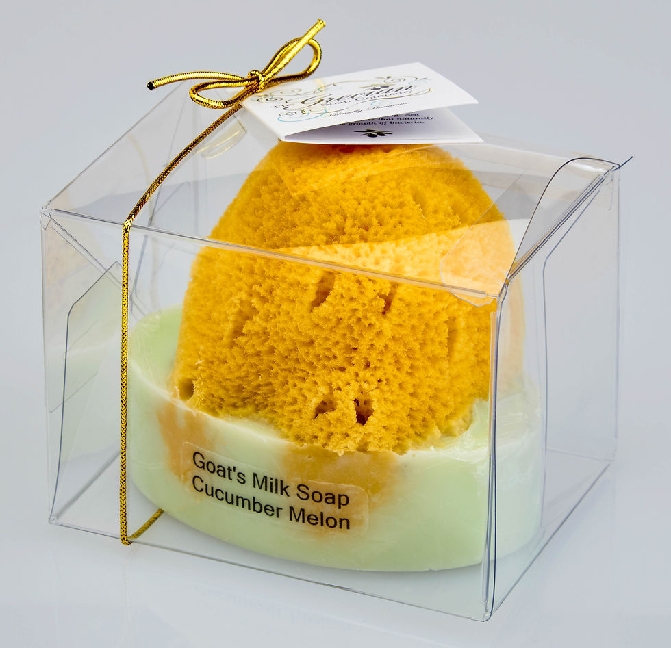 Thumbnail: Goats Milk and Olive Oil Soaps w/embedded Natural Sea Sponge - Set of 4 per frag