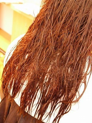 名古屋市中川区の美容室サンローズ。ブリーチや黒染めで毛先がテロテロ・ビビリ毛になったお客様の縮毛矯正ビフォーアフター。12年前の記録でも今の世の中より綺麗と断言できる、タンニンを用いた高度なリメイク技術。乾かしただけで決まる再現性。港区やあま市からも通う、くせ毛職人・浦晃通の本物のツヤ髪。