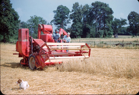 3 Farm 0037.jpg