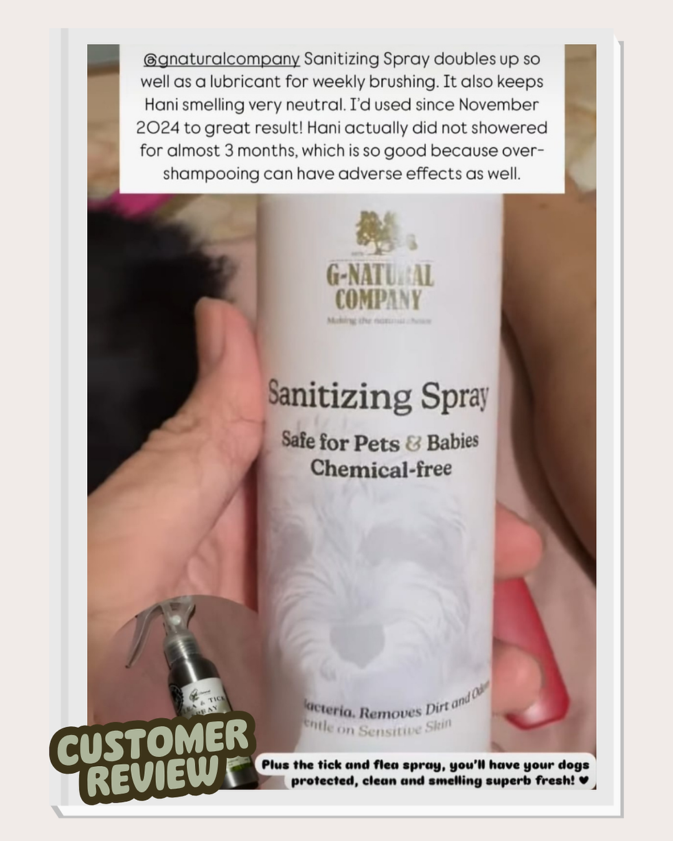 Thumbnail: Sanitizing Spray