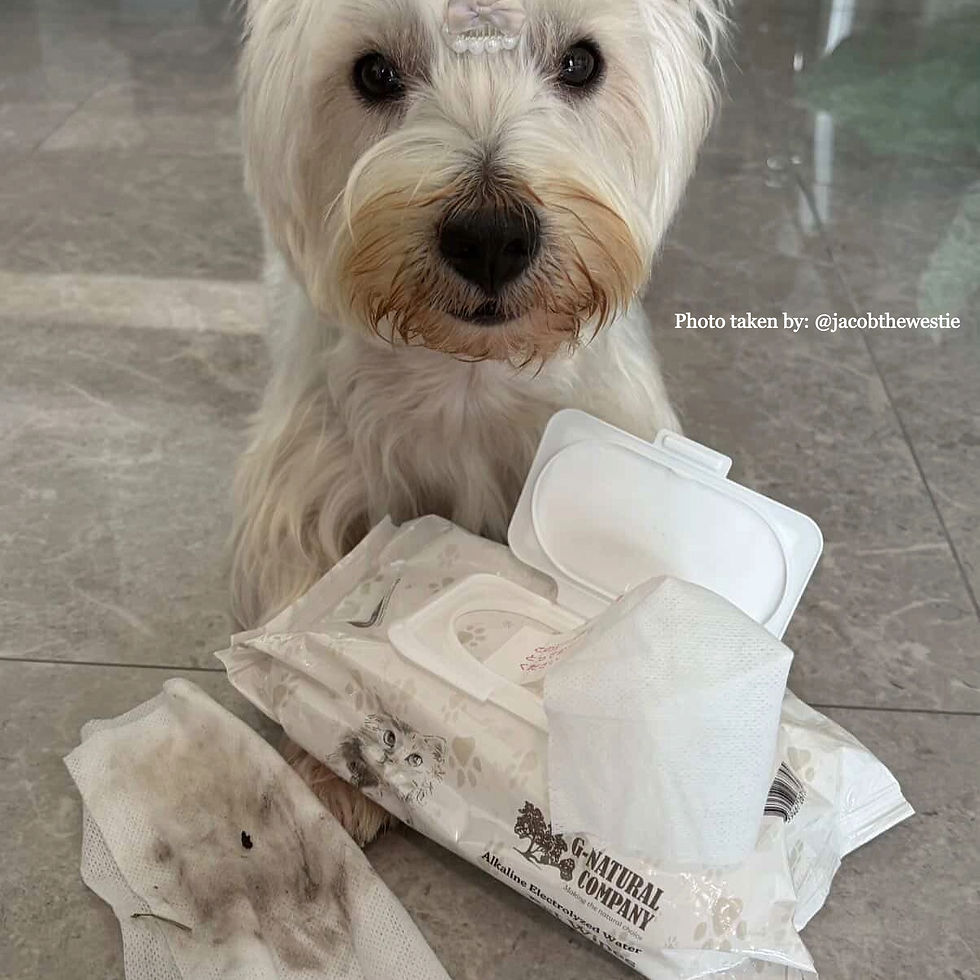 Thumbnail: Pet Wipes (Alkaline Electrolyzed Water)