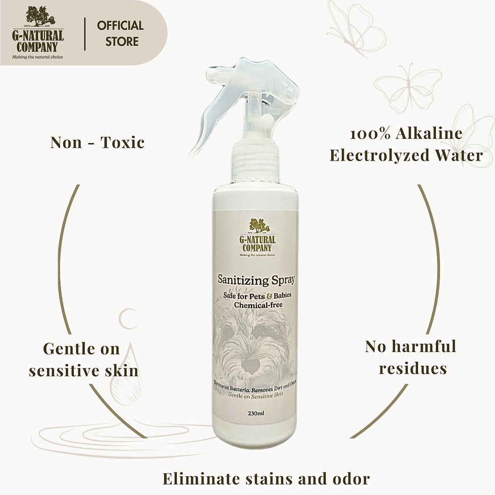 Thumbnail: Sanitizing Spray