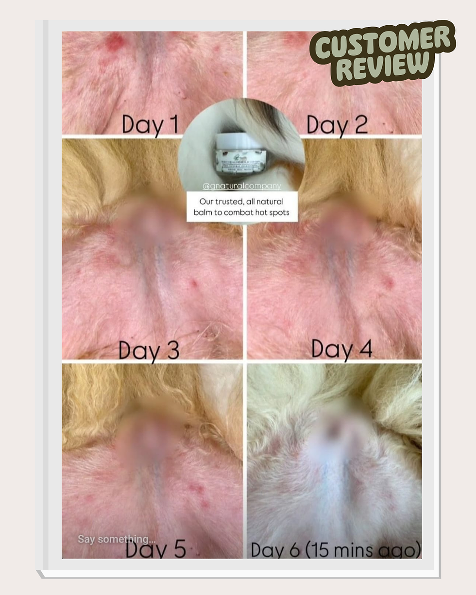Thumbnail: Body Healing Balm - For Dogs