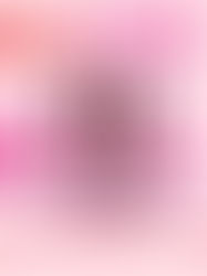 Mean Girls The Musical Review