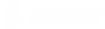 Ribble_logo_white.png