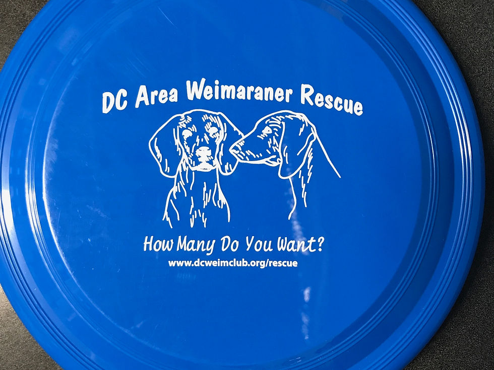9" Frisbee