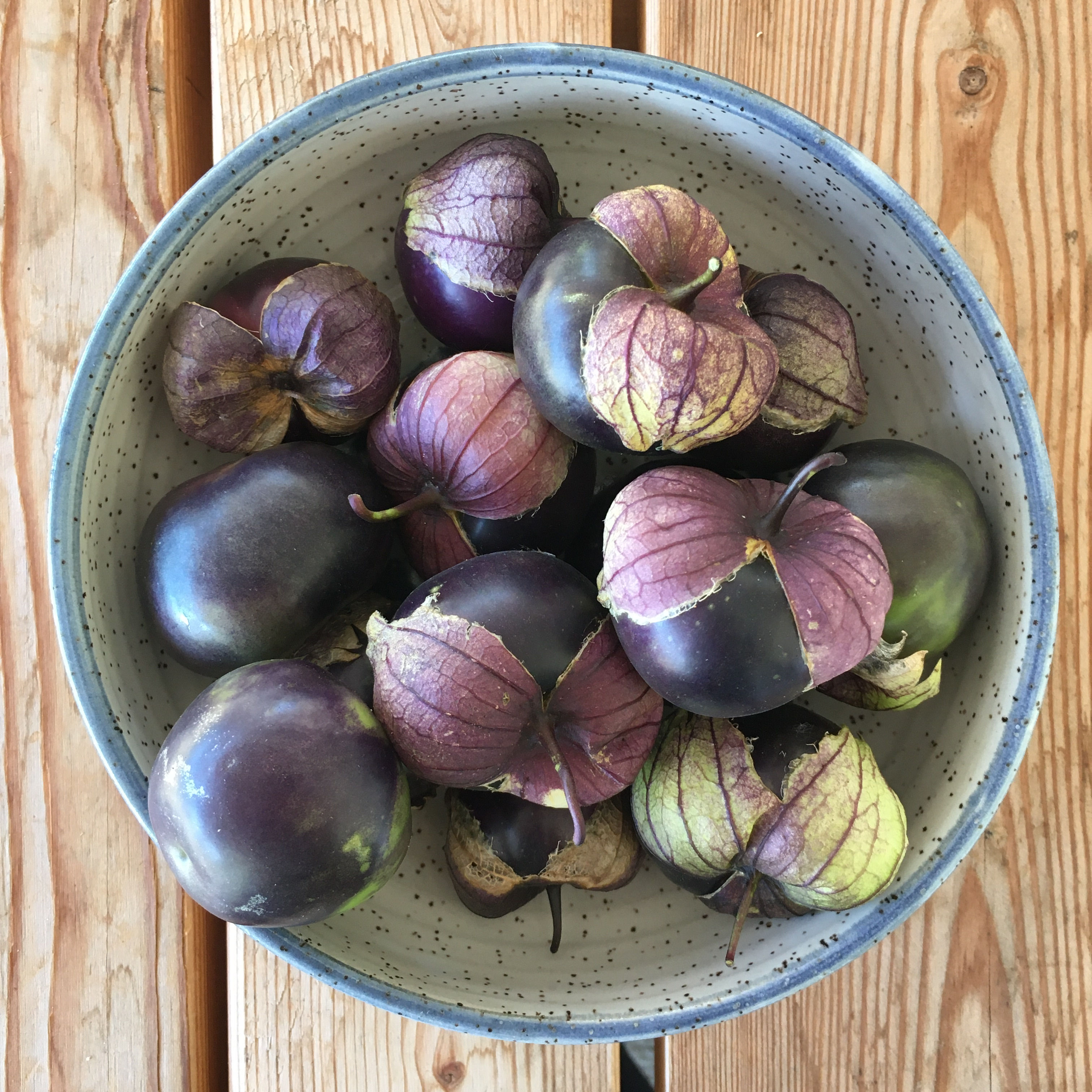 Tomatillo, Purple