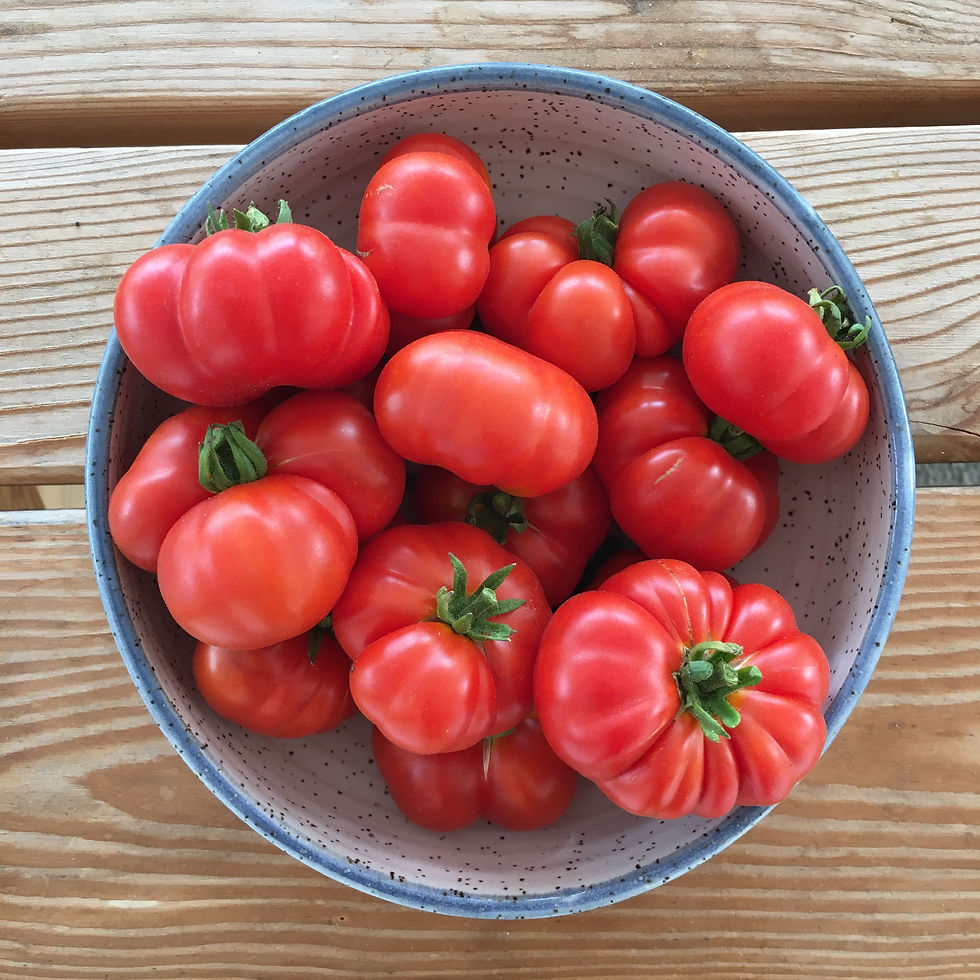 Tomato, Ceylon