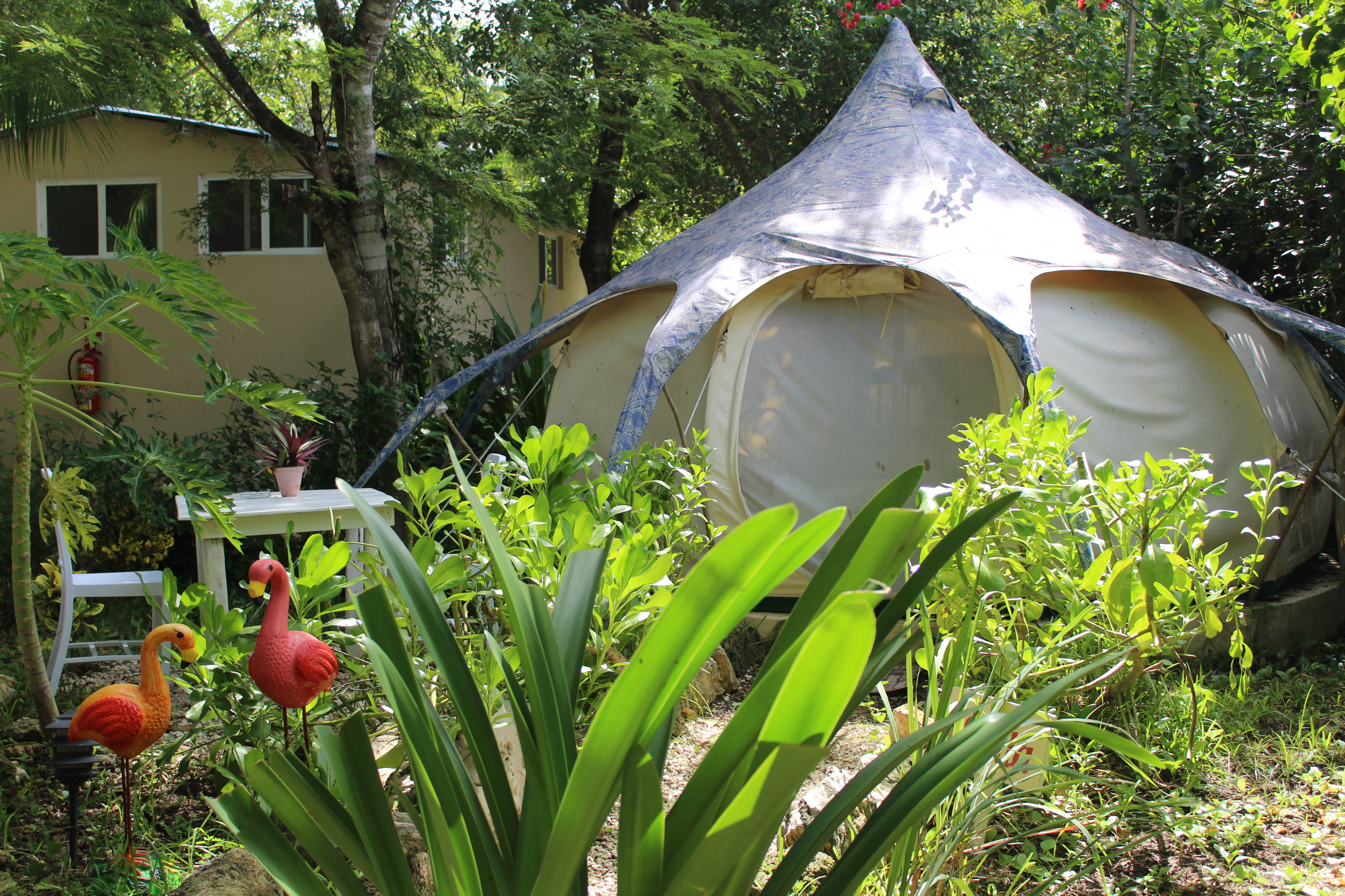 Tents.