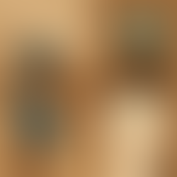 Exploring the Accessibility of Pharmacists Across African Nations