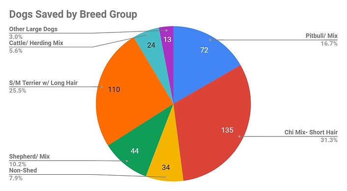 2022 state total dogs saved