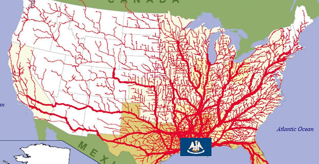 Louisiana - Blood Vessels - Cropped with Pelican_edited.jpg