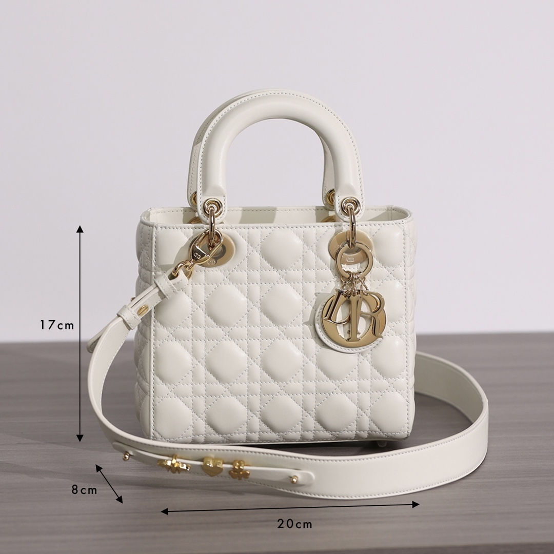 디올//마이크로 레이디백