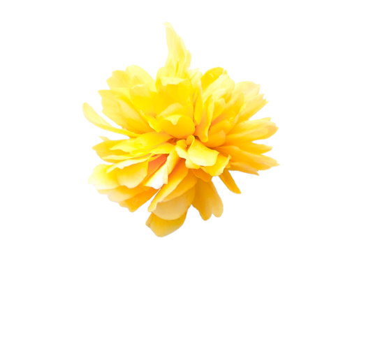 flower.png