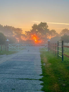 Sonnenaufgang auf dem Hof mit mystischem Nebel