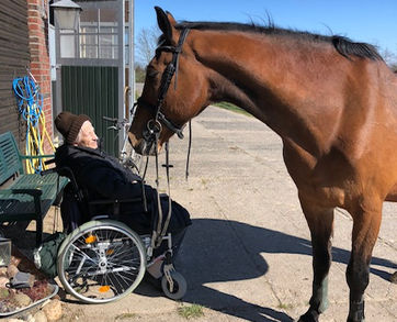 Oma Helene auf demHof mit Pferd