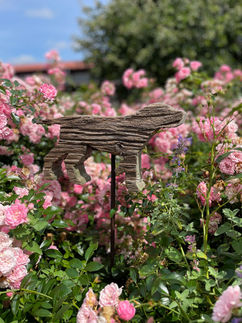 Blumen auf dem Helenenhof