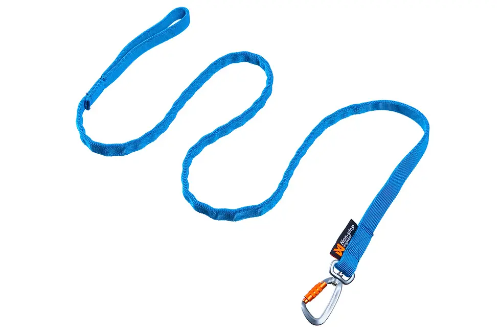 Thumbnail: Non-stop dogwear Bungee leash Pro