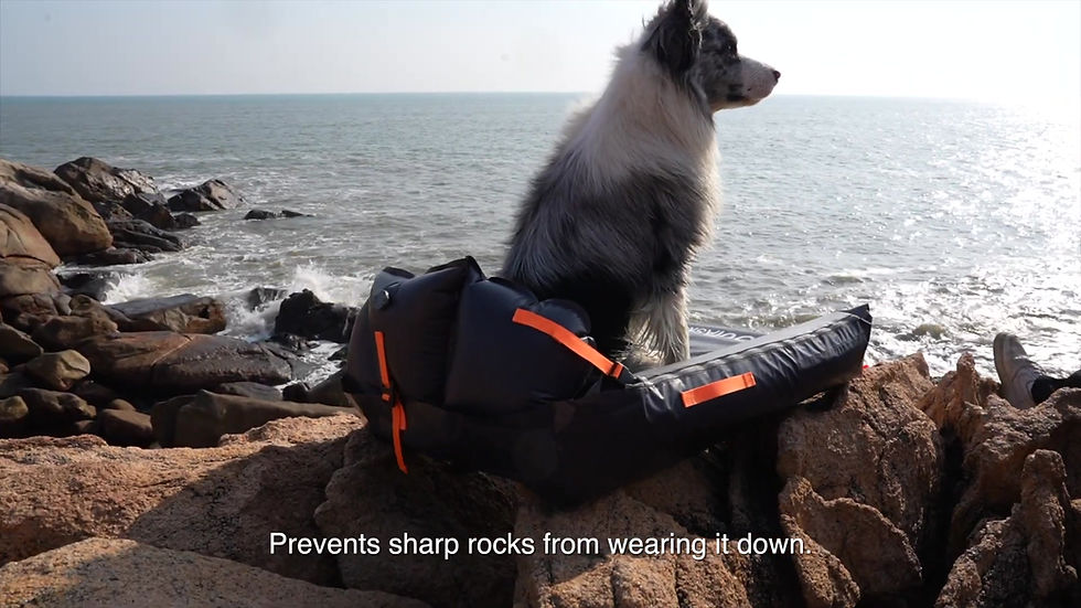 Thumbnail: OuTask JessiGo Outdogs Airpad