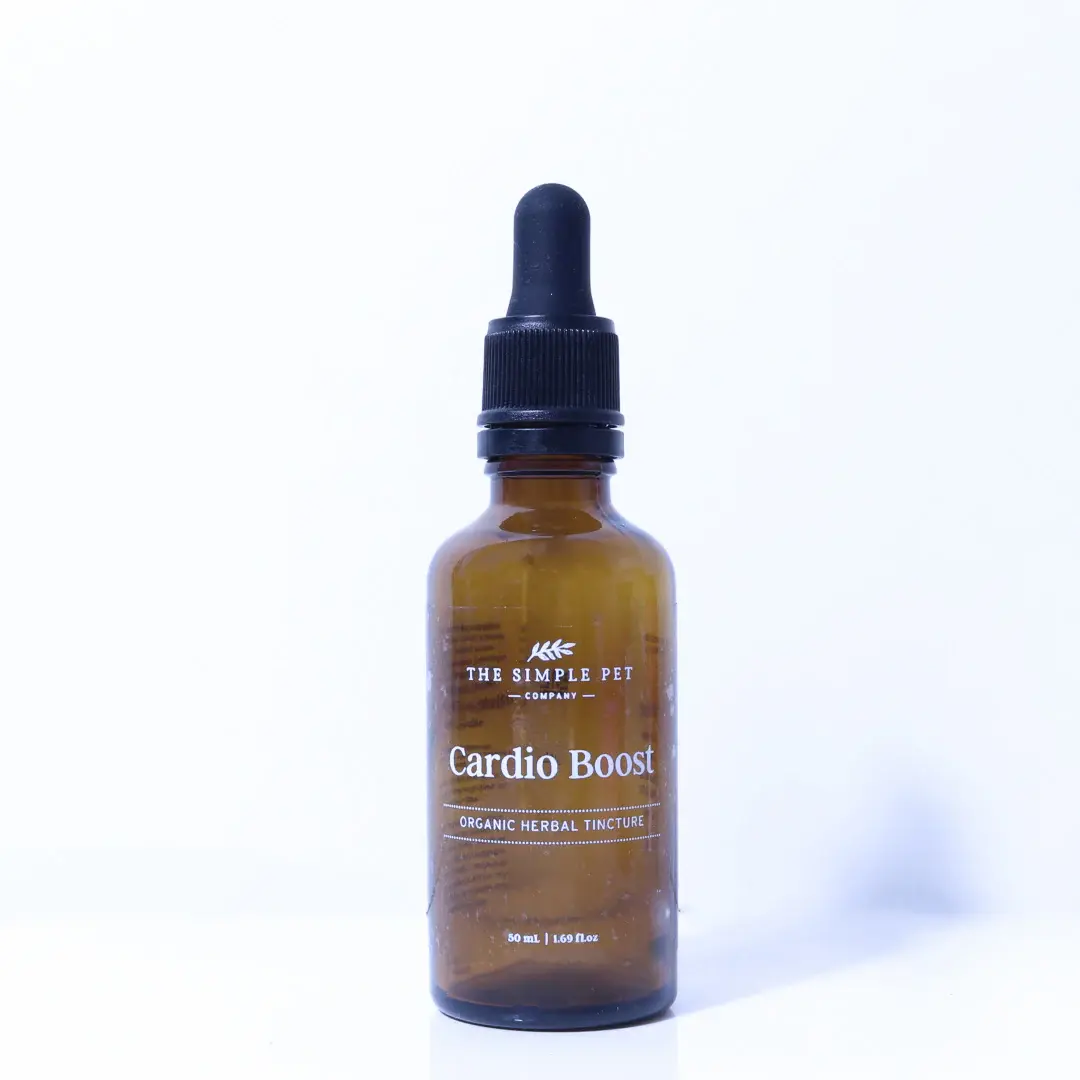 Natural Heart Supplement for Dogs and Cats - Cardio Boost