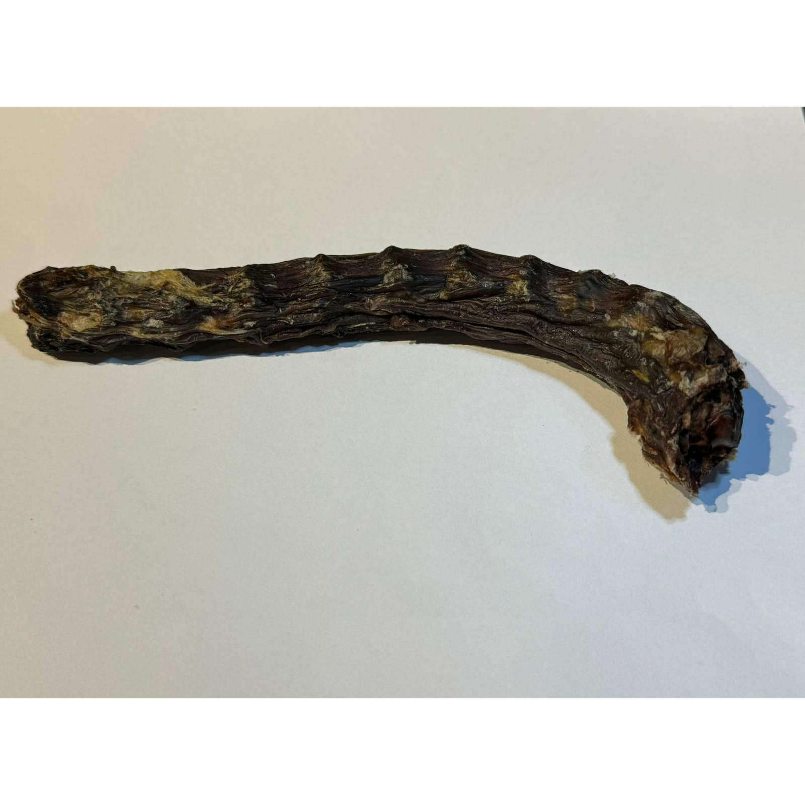 Dehydrated Duck Neck (pcs)