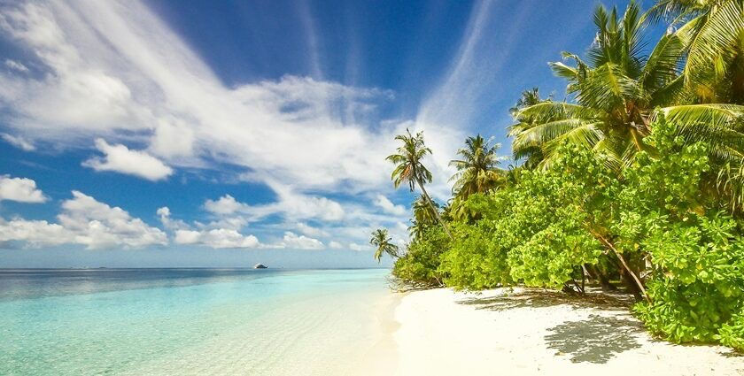 Alibaug Getaway: Beachside Bliss & Hidden Villas | What The Plan