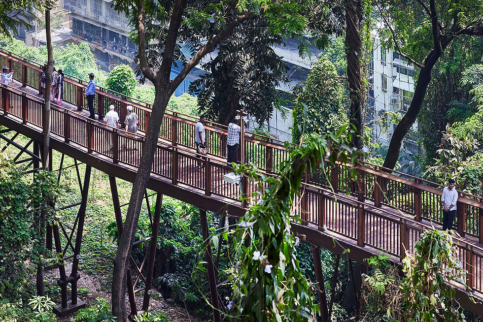 Malabar Hill Walkway