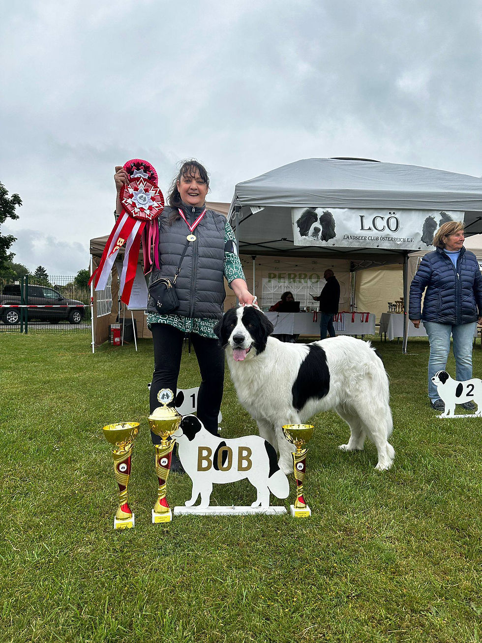 Ein großer Erfolg für meine Grandchampion Hündin am 17. Mai 2026