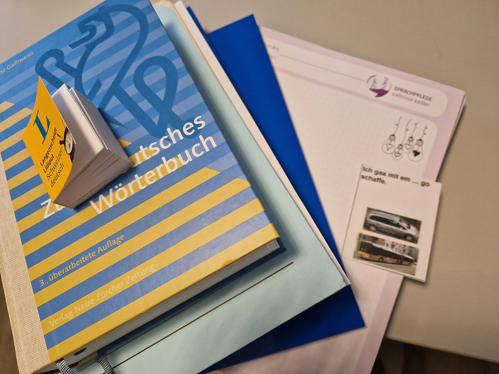 Züritüütschbücher