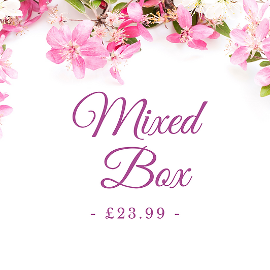 spring sale box