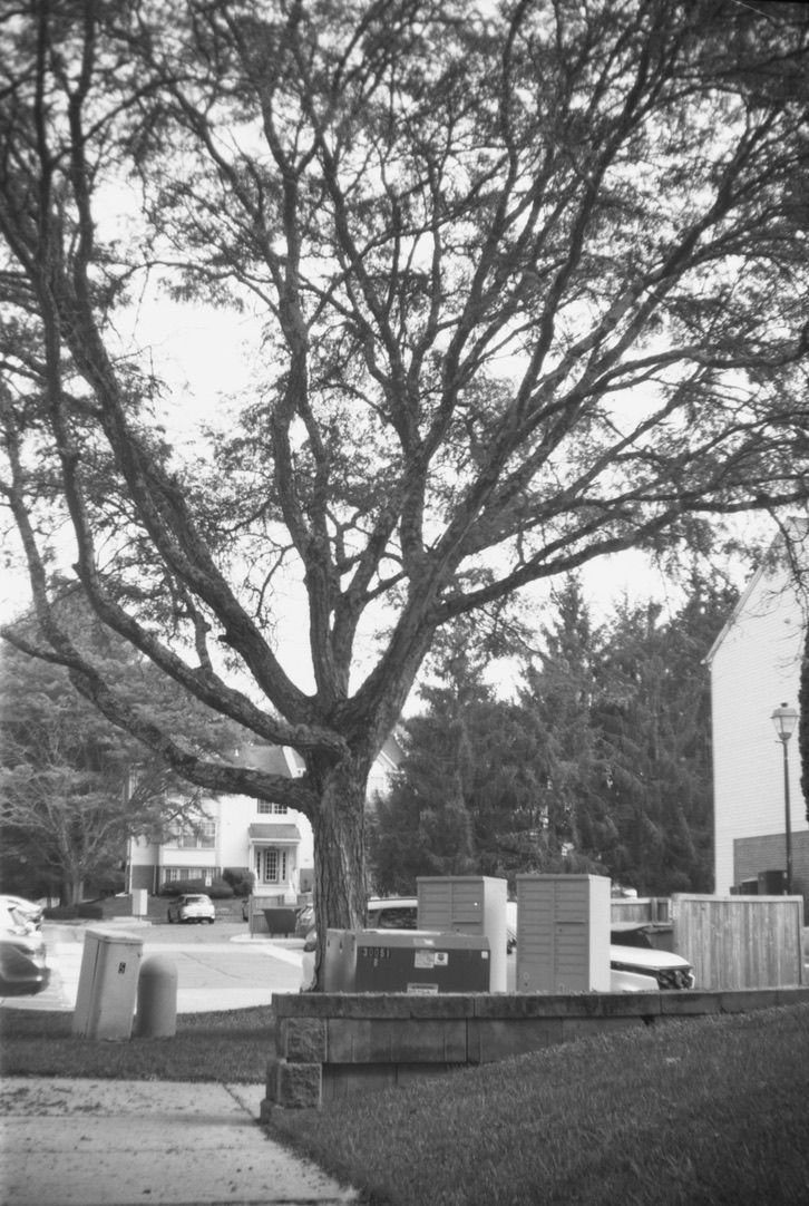 A Second Roll and a Few Adjustments…Voila!