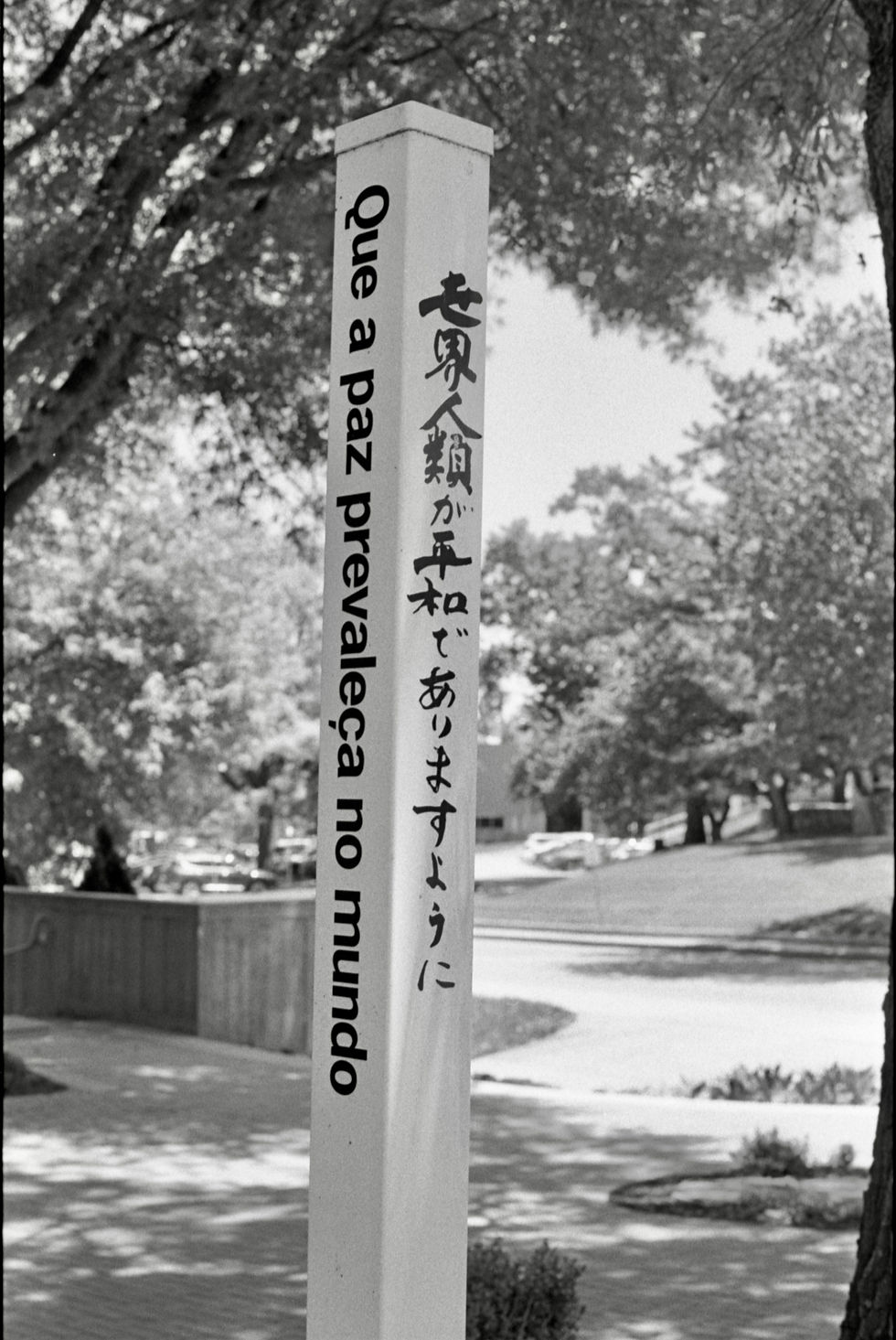Black-and-white park signpost with Japanese text and que a paz prevaleça no mundo, framed by trees and a path.