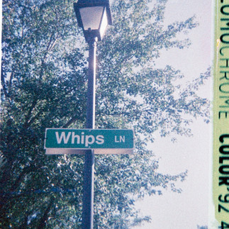 Lamppost at Whips Lane