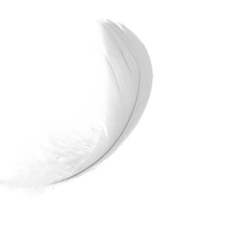 feather_4.png