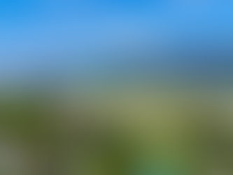 COMING SOON*